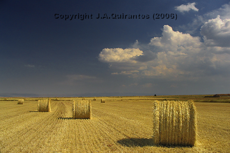 PORTFOLIO011
