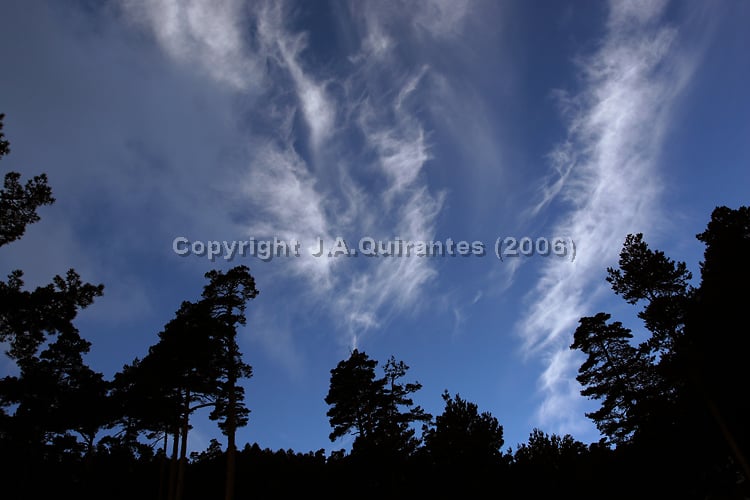 PORTFOLIO012