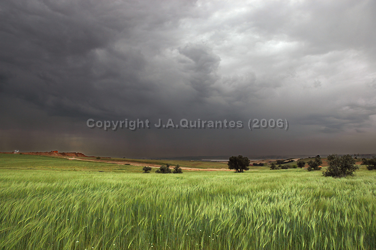 PORTFOLIO014