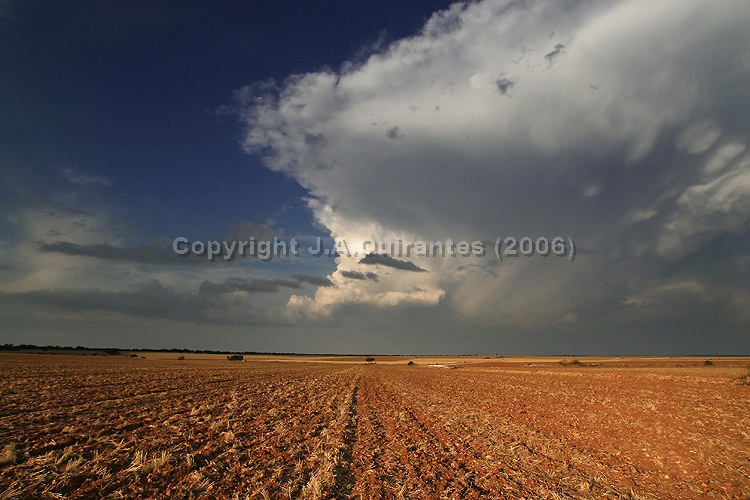 PORTFOLIO019