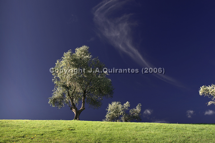 PORTFOLIO020
