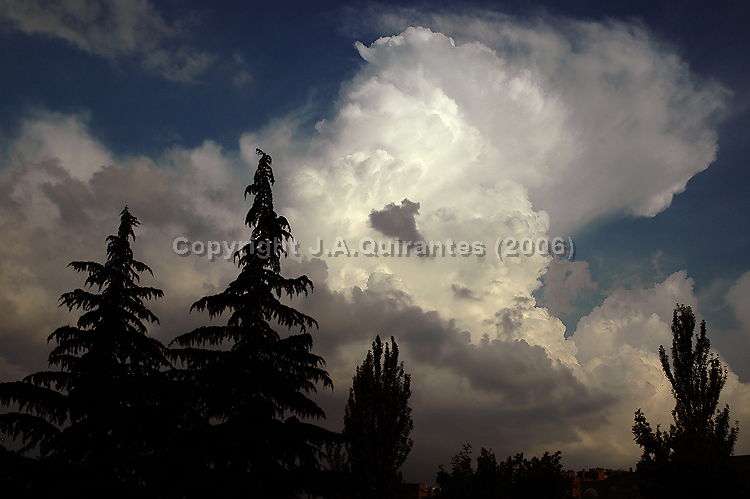 PORTFOLIO023