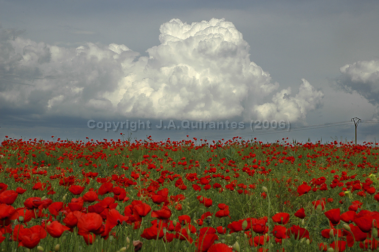 PORTFOLIO025