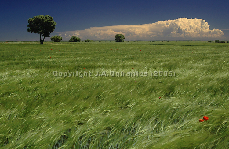 PORTFOLIO026