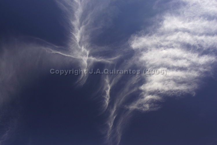 PORTFOLIO036