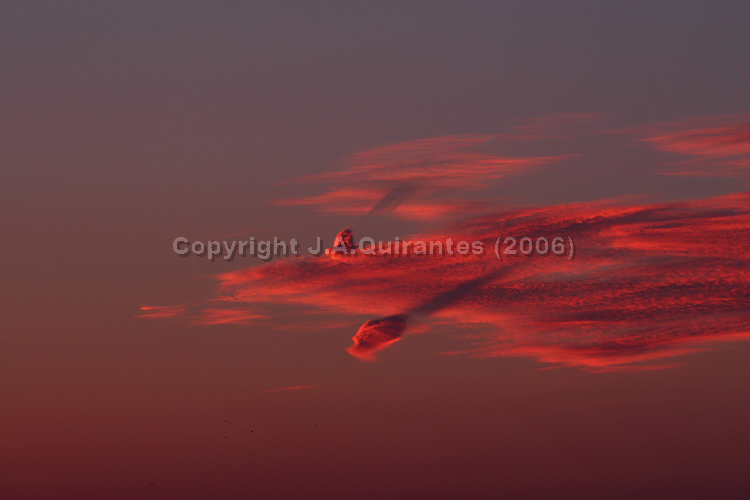 PORTFOLIO040