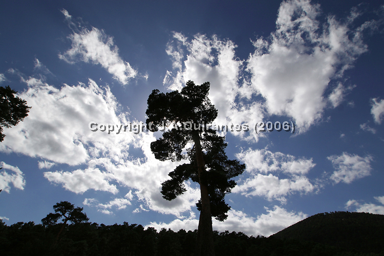 PORTFOLIO052