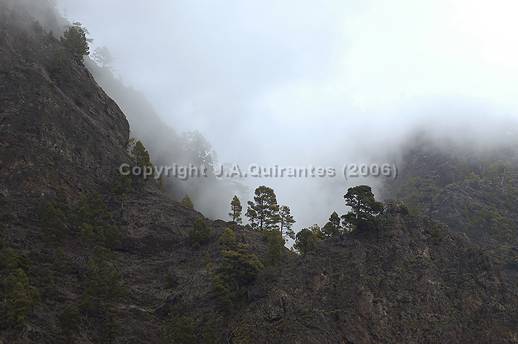 PORTFOLIO057