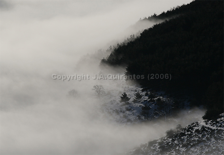 PORTFOLIO064