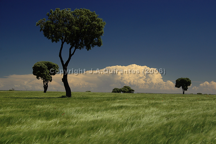 PORTFOLIO069