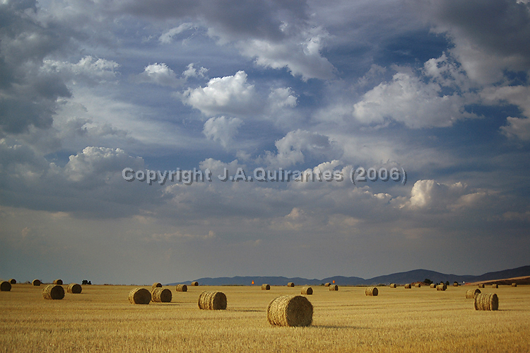 PORTFOLIO075