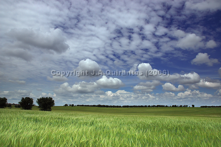 PORTFOLIO078