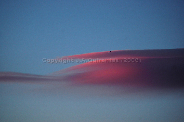 PORTFOLIO082