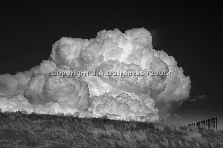 PORTFOLIO090