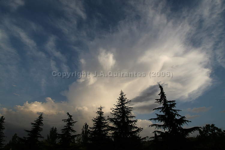 PORTFOLIO091