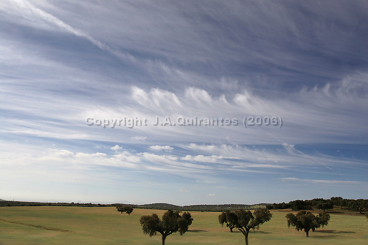 PORTFOLIO093