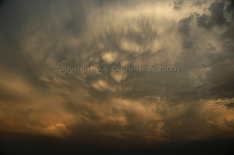 PORTFOLIO110